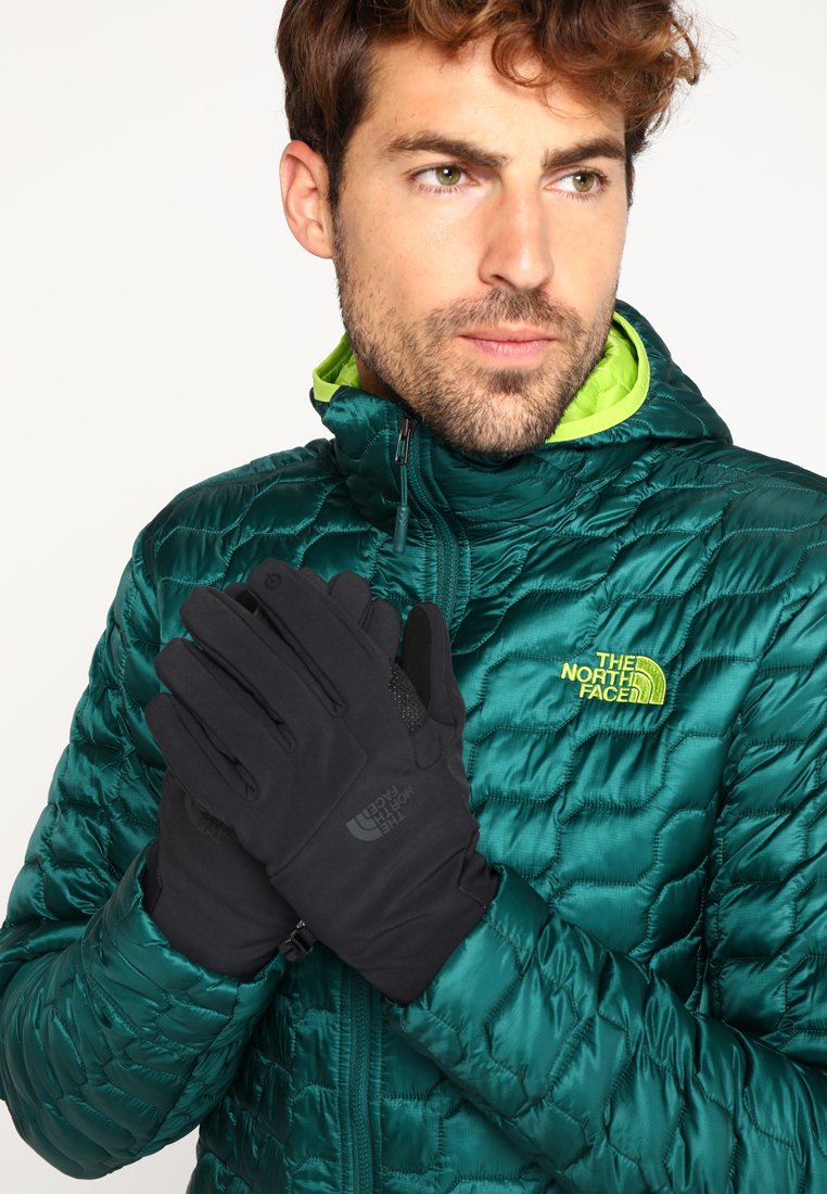 the north face apex