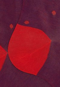 Collant a trama con un mix di viola intenso e rosso vivace. Pannellature distintive con transizioni fluide tra tonalità e motivi.