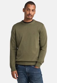 Maglione verde oliva in tessuto lavorato a maglia, con scollo rotondo e polsini e orlo a costine. Piccolo logo sul petto.