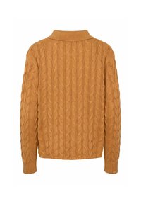 Pull marron en maille torsadée avec manches longues et col roulé côtelé, présenté de dos sur fond blanc.