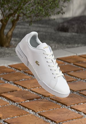 CARNABY CUP 125 - Matalavartiset tennarit - white/gold