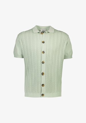 Lichtgroene kortärmelige cardigan met een gestructureerd kabelbreipatroon. Voorzien van een kraag en donkere knopen aan de voorkant.