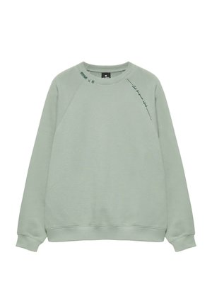 Hellgrünes Sweatshirt mit Rundhalsausschnitt, langen Ärmeln und kleinem schwarzen Textdetail nahe dem Halsausschnitt auf weißem Hintergrund.