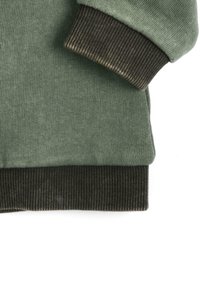 Chicco Felpa con zip - green