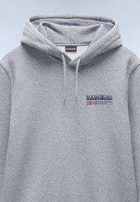 Felpa grigia realizzata in morbido cotone con cappuccio regolabile. Presenta un logo stampato sul petto con testo e accenti a bandiera. Design semplice.