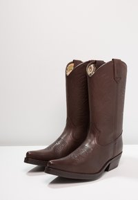 Botas de vaquero de cuero marrón con puntas afiladas, costuras decorativas y un tacón bajo. Presentan un acabado suave y diseños grabados en el caña.