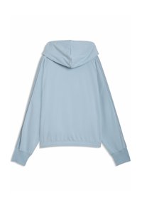 Lichtblauwe capuchontrui met lange mouwen en geribbelde boorden, gezien van de achterkant tegen een witte achtergrond.