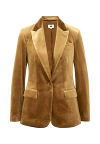 Blejzr - ochre yellow