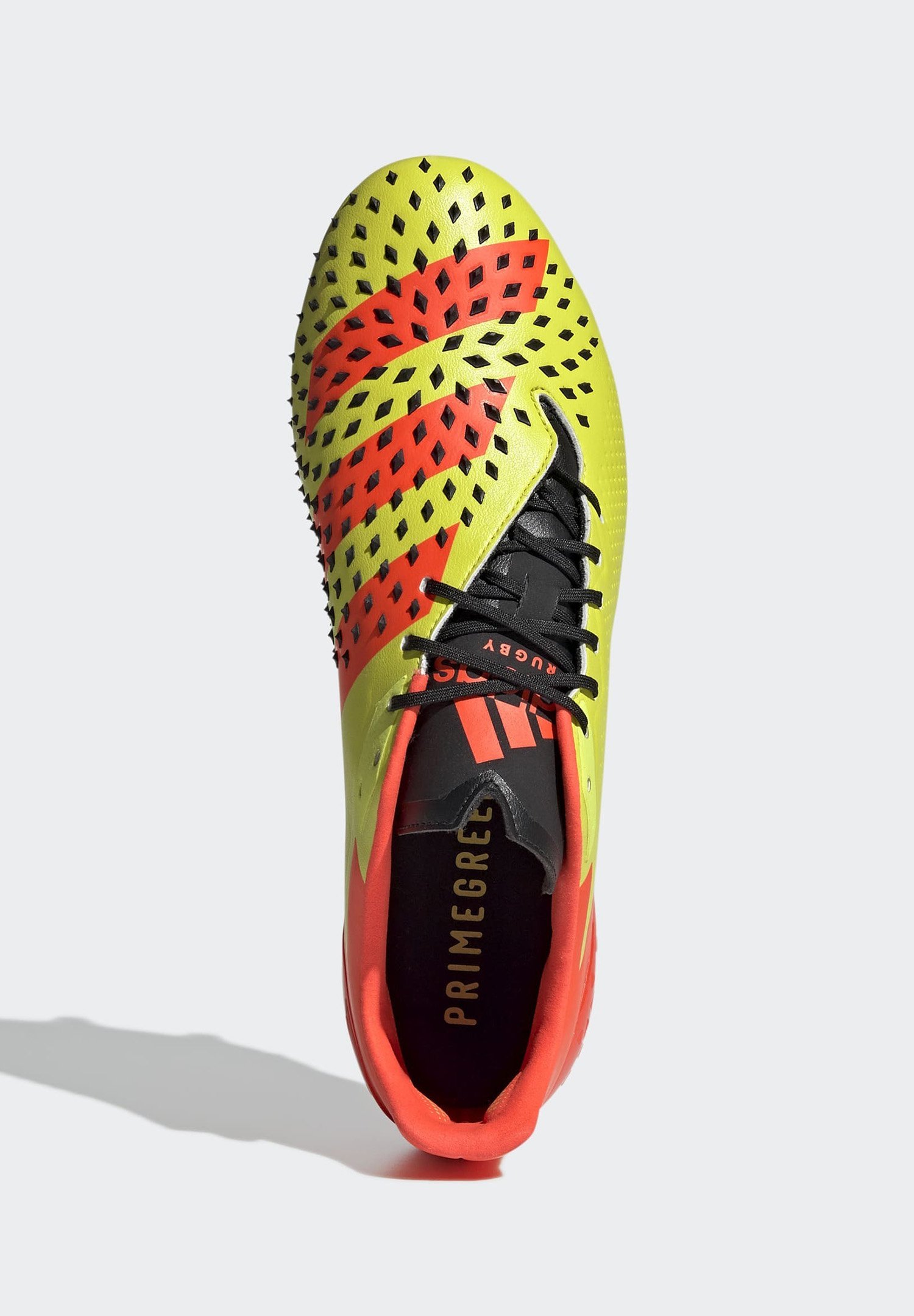 Herren RUGBY PREDATOR MALICE - Trainings-/Fitnessschuh Herren RUGBY PREDATOR MALICE - Trainings-/Fitnessschuh