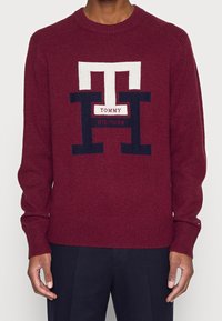 Pull en maille bordeaux avec un grand logo brodé blanc et marine. Encolure ronde et poignets côtelés avec une texture lisse.