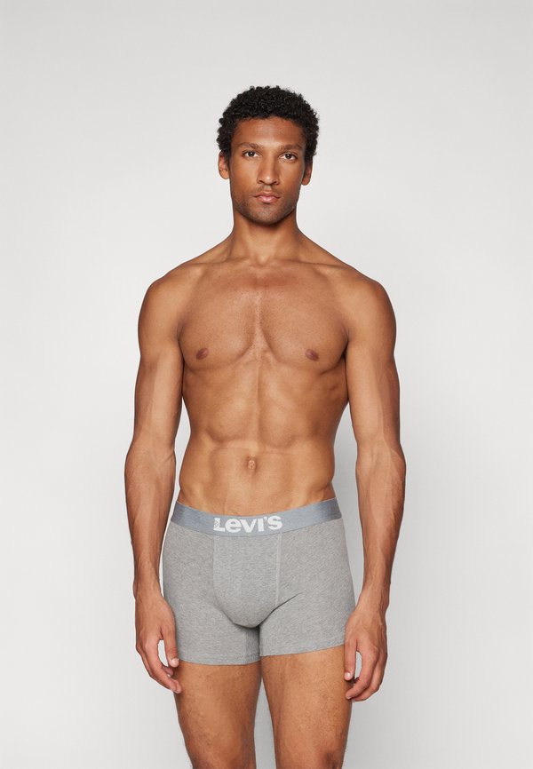 VINTAGE STRIPE BOXER 2 PACK - Trunks3