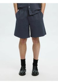 Neizvēlēts, sky captain