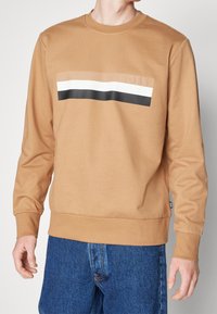 Felpa marrone in morbido tessuto, con un logo rettangolare applicato che presenta strisce beige, bianche e nere sul petto. Polsini e orlo a costine.