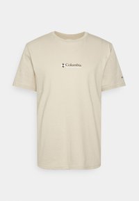 Não selecionado, ancient fossil