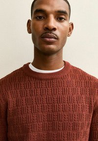 Rostkleurige gebreide trui met een gestructureerd patroon en een geribde ronde hals, gedragen over een wit shirt met ronde hals.