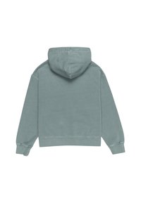 Sweat à capuche vert mat uni avec manches longues et poignets côtelés, vu de dos sur fond blanc.