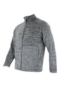 Peak Mountain CROCO - Fleecejakke - gris clair