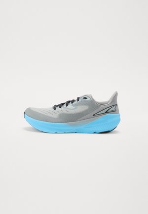 EXPERIENCE FLOW - Road running shoes - gray/blue