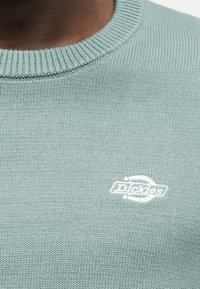 Κοντινό πλάνο ενός ανοιχτοπράσινου πλεκτού πουλόβερ με ένα μικρό λευκό κεντημένο λογότυπο Dickies στο στήθος.