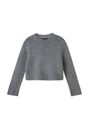 LANGARM - Trui - grey melange