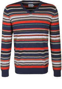 Pull pour homme à col en V avec des rayures horizontales en bleu marine, rouge, beige, blanc, vert et noir, doté de manches longues et de poignets et ourlet côtelés.