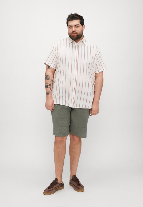 JORJOSHUA CANGGU STRIPE  - Shirt3