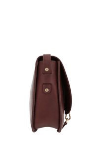 Brown leather crossbody bag viewed from the side, showing two brass studs and a strap attachment on a white background.