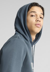 Puma Felpa con cappuccio - gray skies