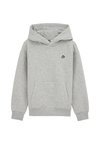 Sweat à capuche - blended light grey