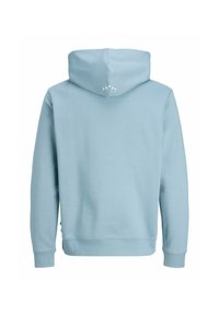 Lichtblauwe hoodie gemaakt van zacht materiaal. Kenmerkt zich door een grote capuchon en een eenvoudig ontwerp. De achterkant heeft witte sterdetails bij de halslijn.