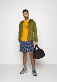 Patagonia HOUDINI  - Corta-vento - palo green