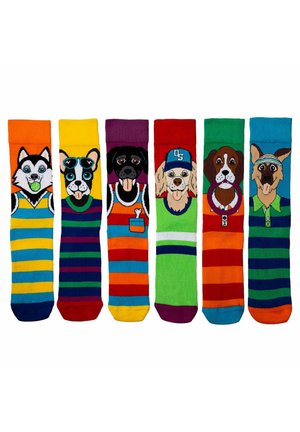 3 PACK MOTTOMOTIVE - Socks - go mutts