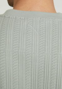 CHASIN' POINT - T-shirt basic - mid green