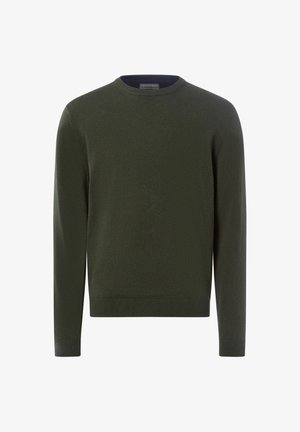Maglione verde scuro realizzato in un materiale morbido, con scollatura rotonda e polsini e orlo a coste. Design semplice, senza motivi o decorazioni.