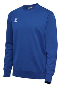 Blå sweatshirt i mjukt tyg, med rund halsringning, långa ärmar, ribbade muddar och en liten vit logga på bröstet.