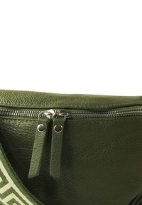 DrachenLeder Heuptas - grün mehrfarbig