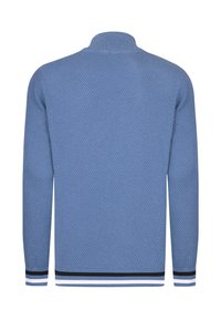 Blauwe gebreide trui met een gestructureerd patroon, hoge kraag en gestreepte donkere blauwe, witte en lichtblauwe accenten bij de manchetten en de zoom.