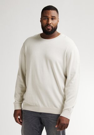 PLUS SIZE BASIC CREW NECK  RHINELANDER - Strickpullover - antique white melee