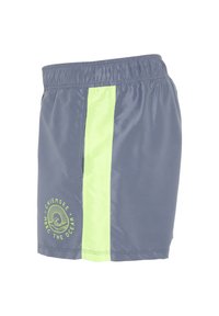 Swimming shorts in dark gray with a vertical lime green stripe. Features an elastic waistband and "Chiemsee" logo in neon green at the hem.