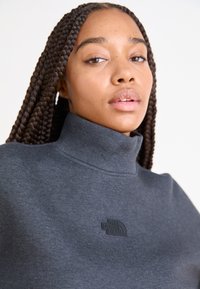 The North Face MOCK NECK - Sudadera - black heather