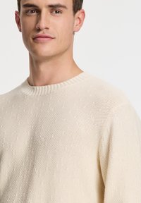 Light beige sweater with a textured weave, featuring a ribbed neckline and subtle patterned accents, highlighting a soft cotton blend.