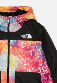 The North Face FREEDOM INSULATED UNISEX - Vodootporna jakna - multi-coloured