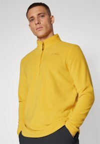 Jack Wolfskin TAUNUS - Fleecepullover - curry