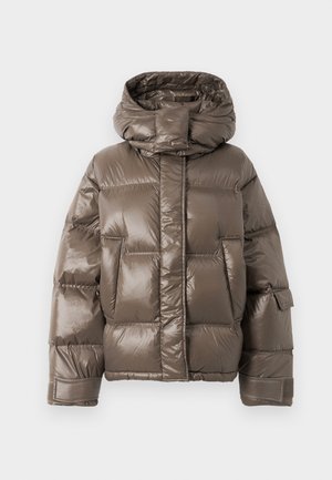 STEILIA JACKET - Tolldzseki - brown