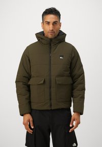 Jack Wolfskin NORTHERN LITE HOODED  - Veste d'hiver - obsidian moss