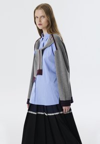 Grijze trui met kastanjebruine accenten, gedragen over een blauw-wit gestreepte blouse met kraag, in combinatie met een zwarte rok met witte kanten rand.