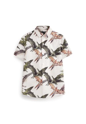 Chemise à manches courtes boutonnée avec un fond blanc et de grands imprimés colorés de ptérodactyles volants.