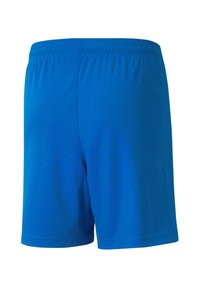 Puma TEAMLIGA  - Short de sport - blaugelb