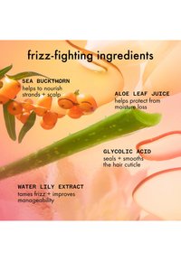 Duindoornbessen, aloëblad en tekst die pluizigheid bestrijdende ingrediënten zoals glycolzuur en waterlelie-extract en hun voordelen benadrukt.