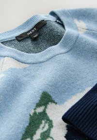 Lyseblå sweater med et tekstureret grønt landskabsmønster. Har en ribkantet halsåbning og marineblå detaljer. Etiket synlig indeni.